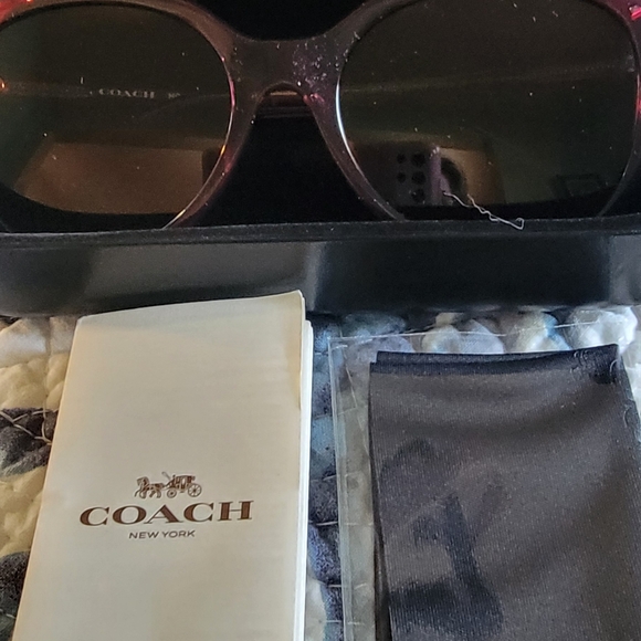 Coach Butterfly Sunglasses - HC8307U - Picture 13 of 14